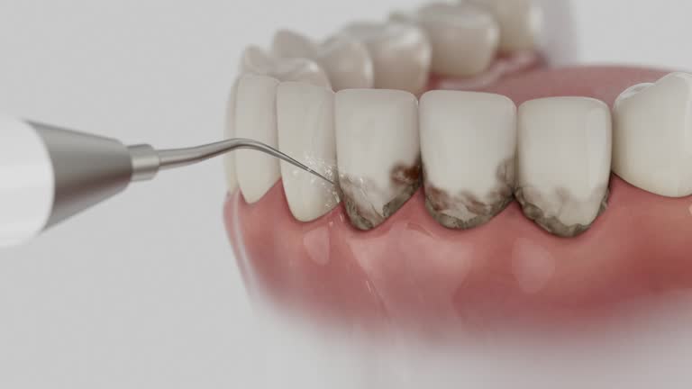 Reliable Dental contractor in Eastpoint, FL by Dentist Open Now